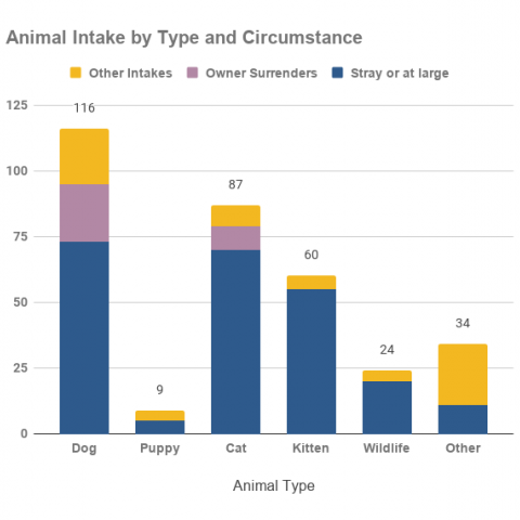 Animal Intakes
