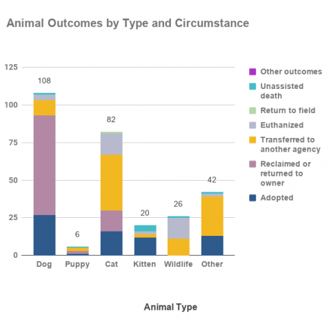Animal Outcomes by Type and Circumstance