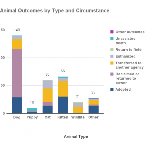 Animal outcomes by type and circumstance - June 2021