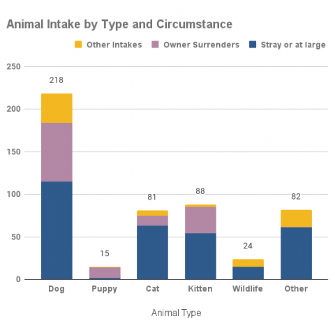Animal intake by type and circumstance- July 2021