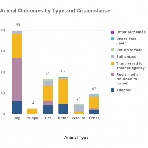 Animal outcomes by type and circumstance- July 2021