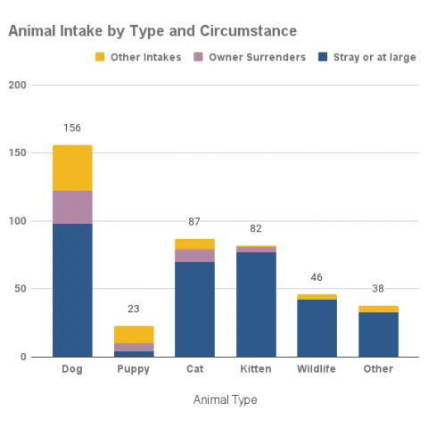 August 2021 animal intakes