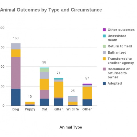 Animal outcomes by type and circumstance - August 2021