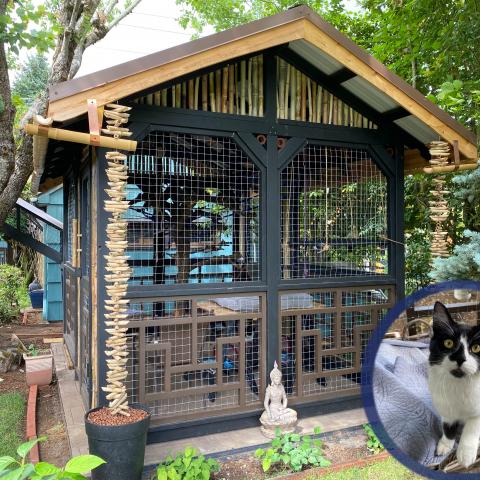 A catio to be featured in the 2021 Catio Tour