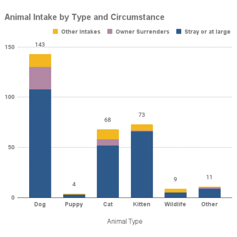 Animal intake by type and circumstance - September 2021