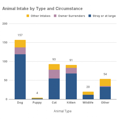 Animal intake by type and circumstance - October 2021