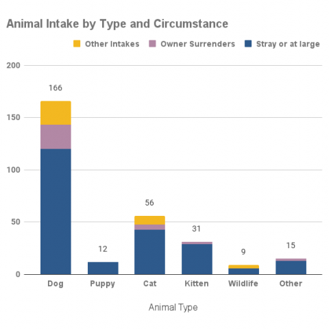 Animal intake by type and circumstance - November 2021