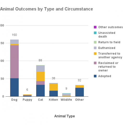 Animal Outcomes by Type and Circumstance - November 2021