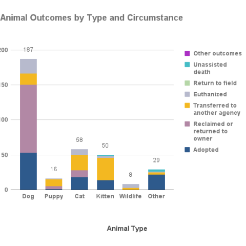 Animal outcomes by type and circumstance - December 2021