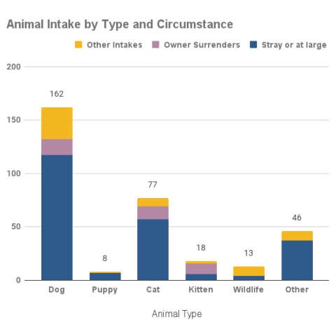 Animal intake by type and circumstance - January 2022
