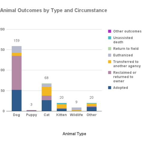 February 2022 animal outcomes