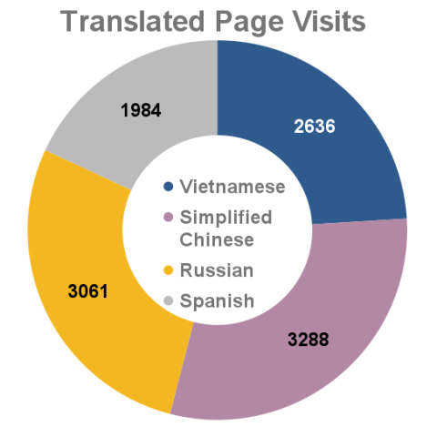 February 2022 translated page visits