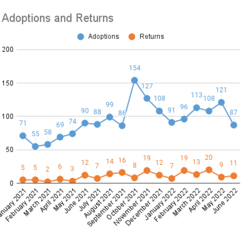 Monthly adoptions and returns - January 2021 to June 2022 (partial)