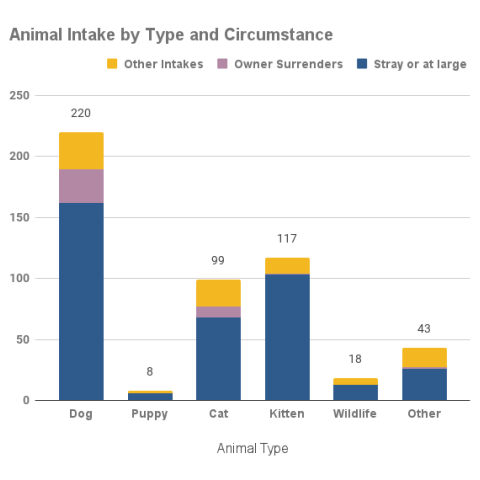 Animal intake by type and circumstance - June 2022