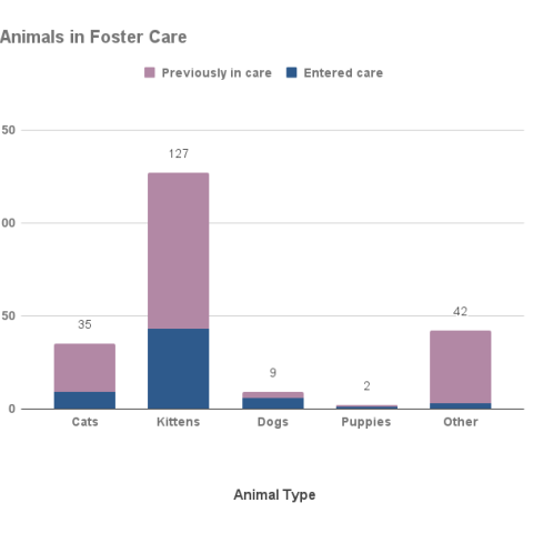 July 2022 - Animals in Foster Care