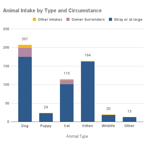 Animal intake by type and circumstance - August 2022