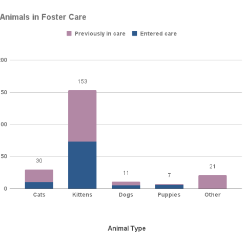 September 2022 Animals in Foster Care