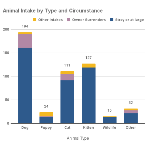 Animal intake by type and circumstance - October 2022