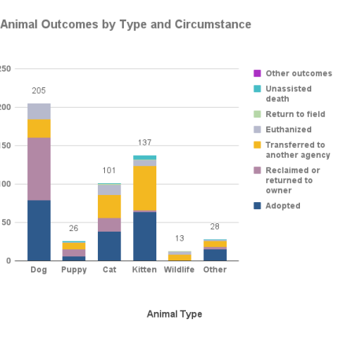 Animal outcomes by type and circumstance - October 2022