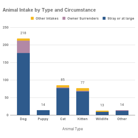 Animal intake by type and circumstance - November 2022