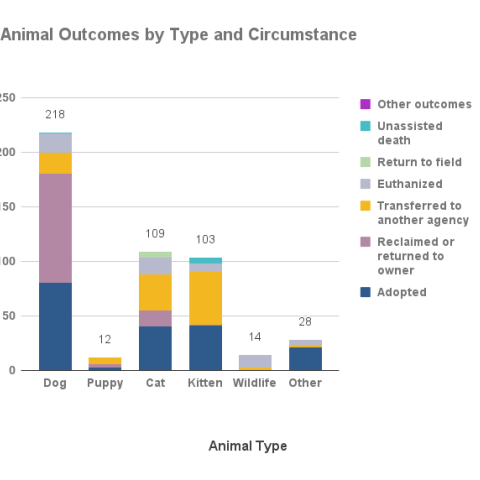 Animal outcomes by type and circumstance - November 2022