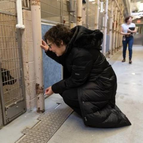Chair Jessica Vega Pederson visits with a dog in a kennel at MCAS