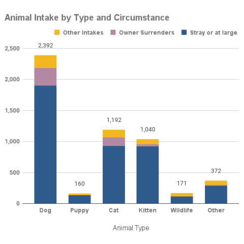2022 Animal Intake by Type and Circumstance
