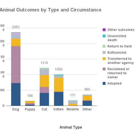 2022 Animal Outcomes by Type and Circumstance