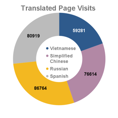 2022 Translated Page Visits