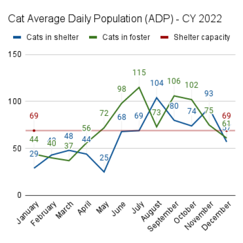 Cat Average Daily Population - 2022