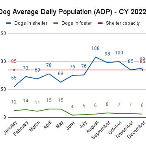 Dog Average Daily Population - 2022