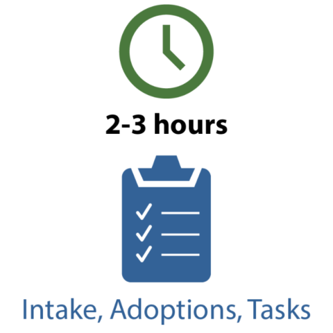 2-3 hrs for daily intake, adoptions, and other tasks