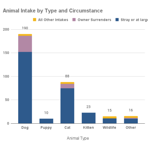 February 2023 - Animal Intake by Type and Circumstance
