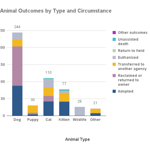 May 2023 - Animal Outcomes by Type and Circumstance