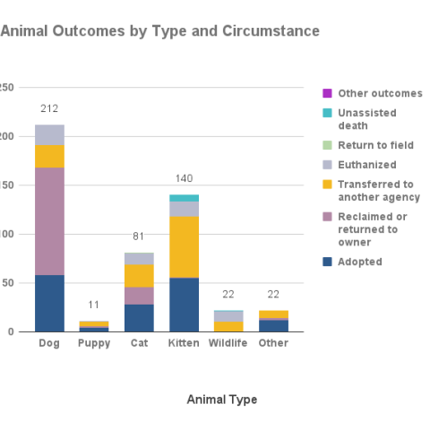 June 2023 Animal Outcomes by Type and Circumstance