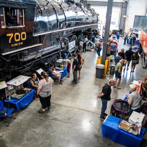 Foster volunteers feature adoptable pets in the Oregon Rail Heritage Center Enginehouse