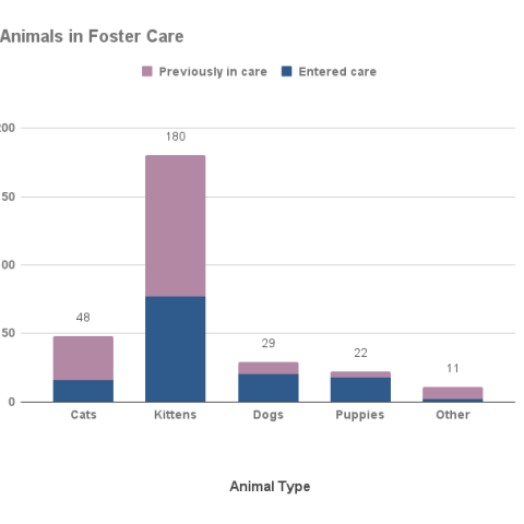 July 2023 animals in foster care