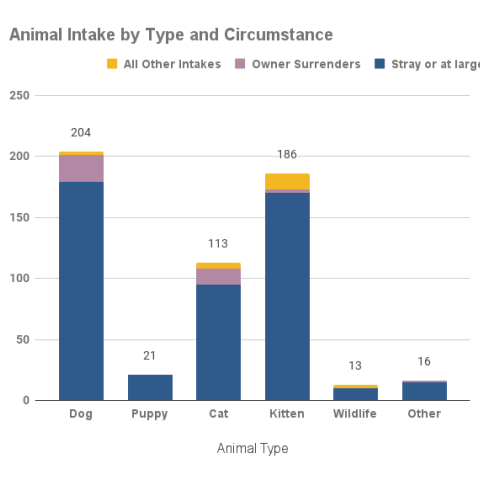 Animal intake by type and circumstance - September 2023