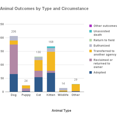 Animal outcomes by type and circumstance - September 2023