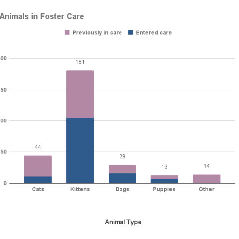 Animals in foster care - September 2023