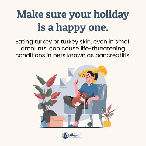 Holiday pet safety PSA graphic