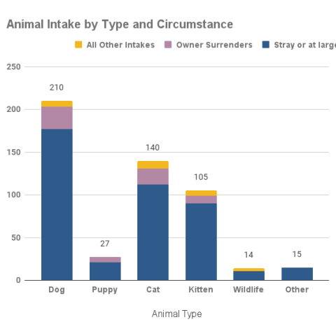 Animal intake by type and circumstance - November 2023