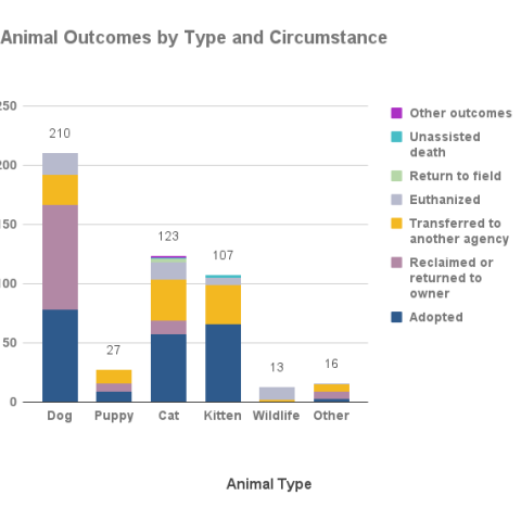 Animal outcomes by type and circumstance - November 2023