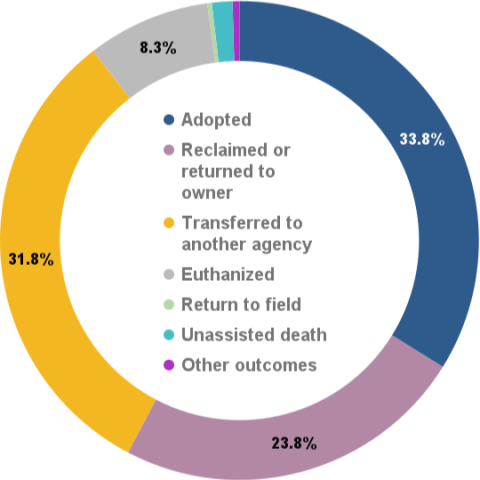 Total animal outcomes - October 2023
