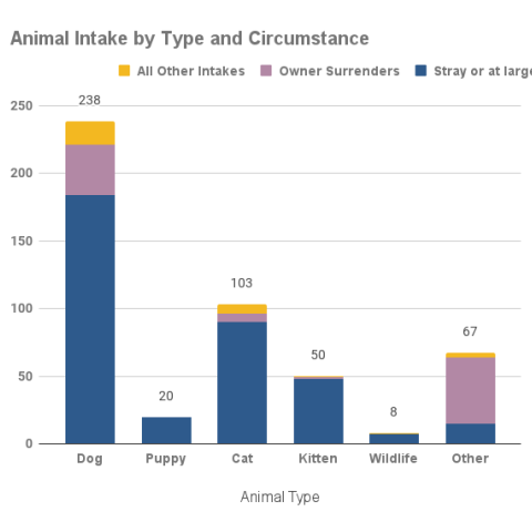 Animal intake by type and circumstance - December 2023