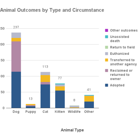 Animal outcomes by type and circumstance - December 2023