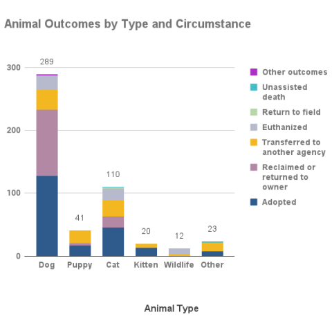 March 2024 - Animal Outcomes by Type and Circumstance