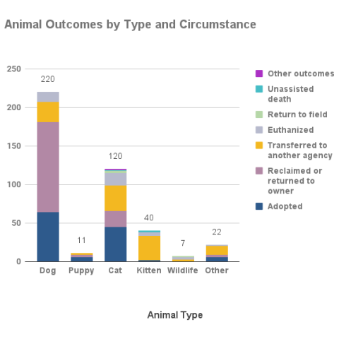 April 2024 - Outcomes by Animal Type and Circumstances