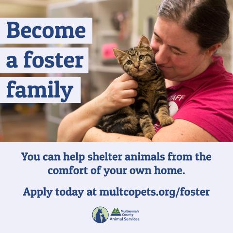 Become a foster family