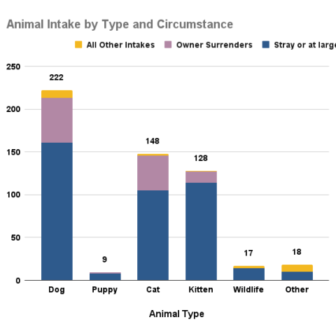 April 2025 animal intakes by type and circumstance
